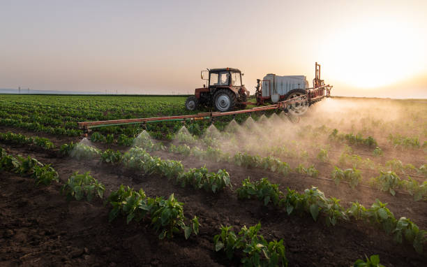 Best Mosquito Control Services  in Hernando, FL