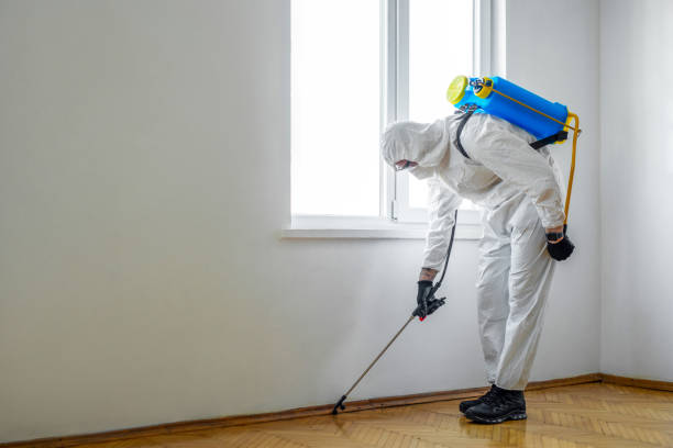 Best Bed Bug Extermination  in Hernando, FL