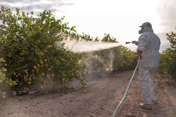 Pest Control for Restaurants in Hernando, FL