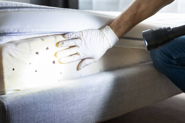 Best Affordable Pest Control Services  in Hernando, FL