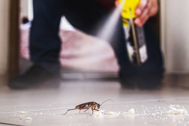 Best Affordable Pest Control Services  in Hernando, FL