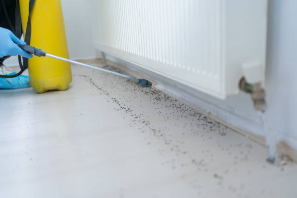 Best Pest Control for Businesses  in Hernando, FL